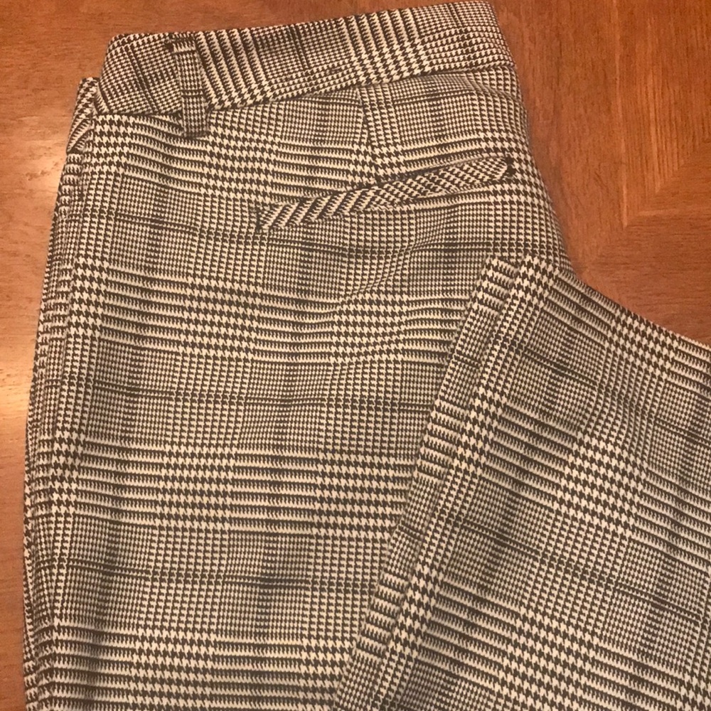 Express Columnist Pants